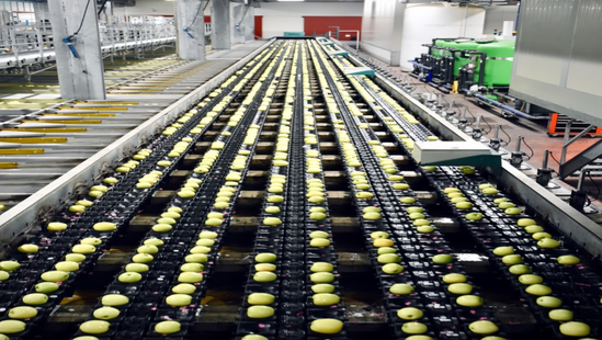 Food Processing